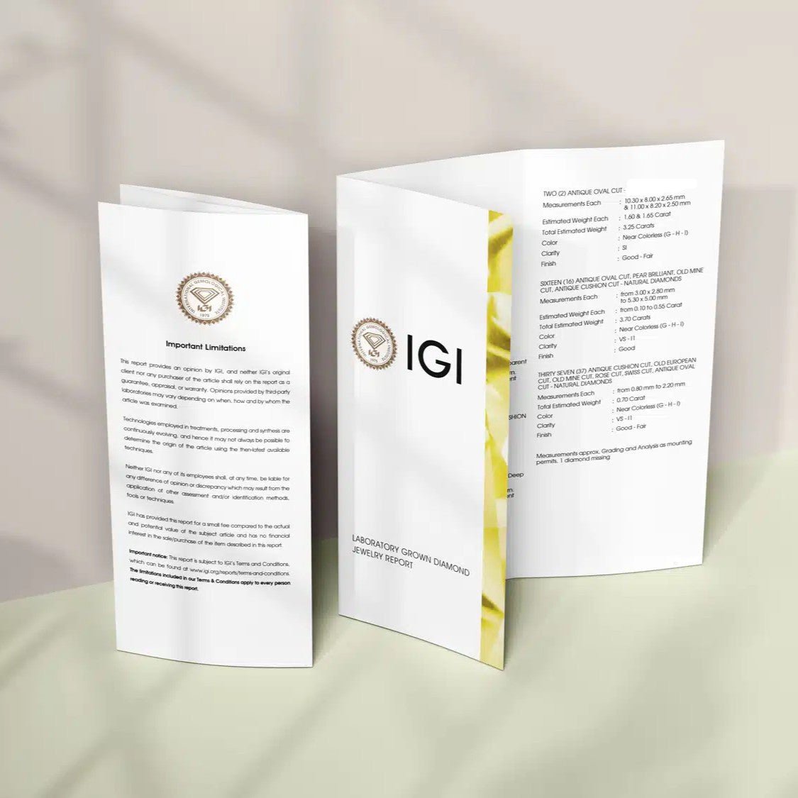 IGI diamond grading certificate for a lab-grown diamond, showing report header, 4Cs grades, measurements, clarity plot, and verification details — a complete technical record of a graded stone.